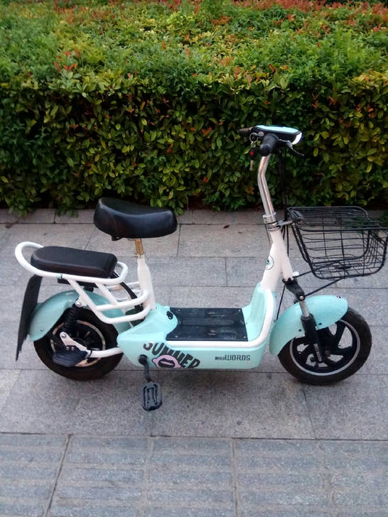 新日电动车新电瓶48伏12安，4月份新换的...