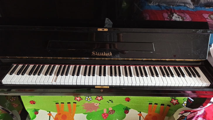 纯实木打造，二手钢琴，小孩不弹了，有意者看...