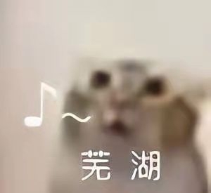 未来人类dr7魔鬼鱼笔记本