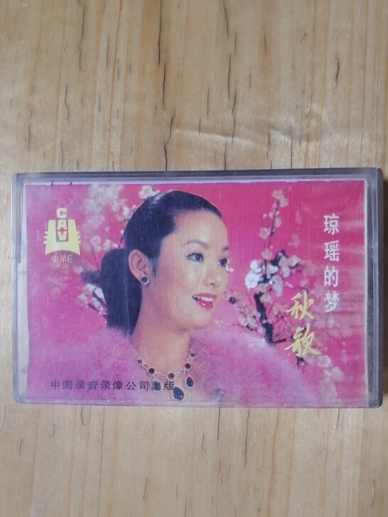 琼瑶歌集（二）奔向彩虹。正品磁带，