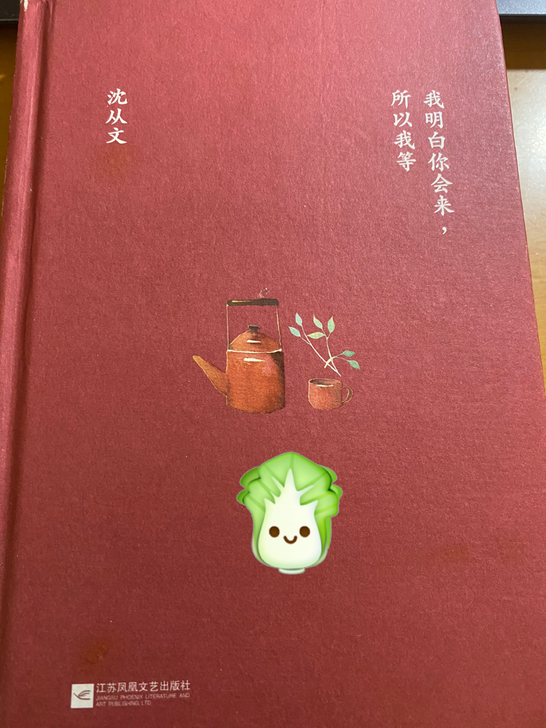 沈从文 我明白你会来，所以我等