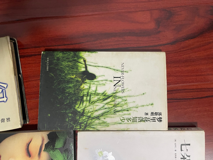 郭敬明，幻城，左耳 同城自提，异地不含邮费。