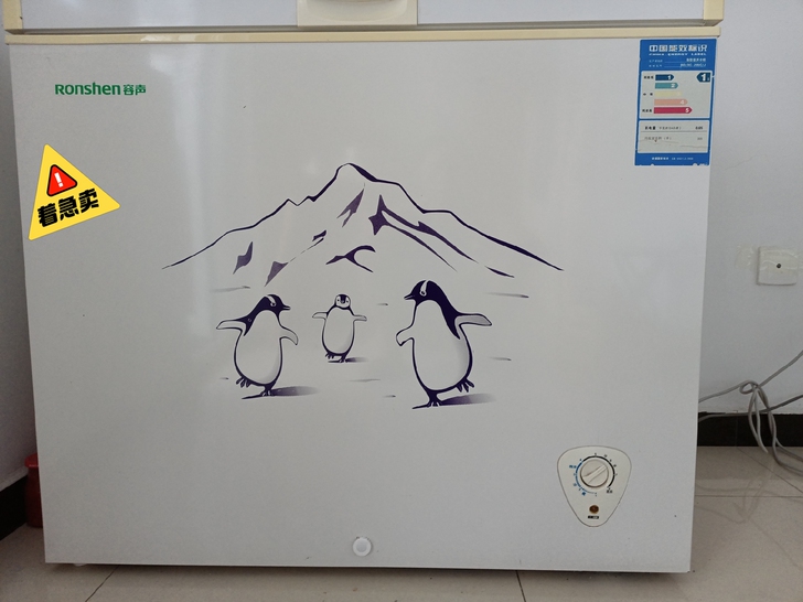 搬家急卖，带不走。容声 BD/BC-205...