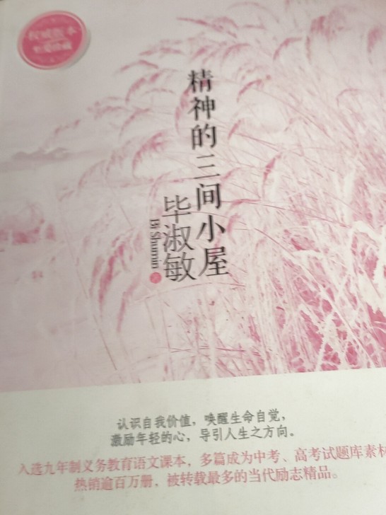 《精神的三间小屋》毕淑敏