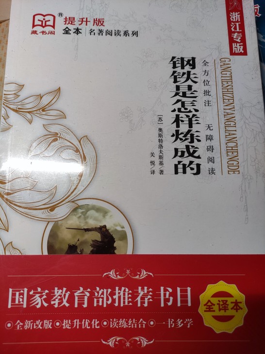 钢铁是怎样炼成的（附赠一本《给青年的12封...