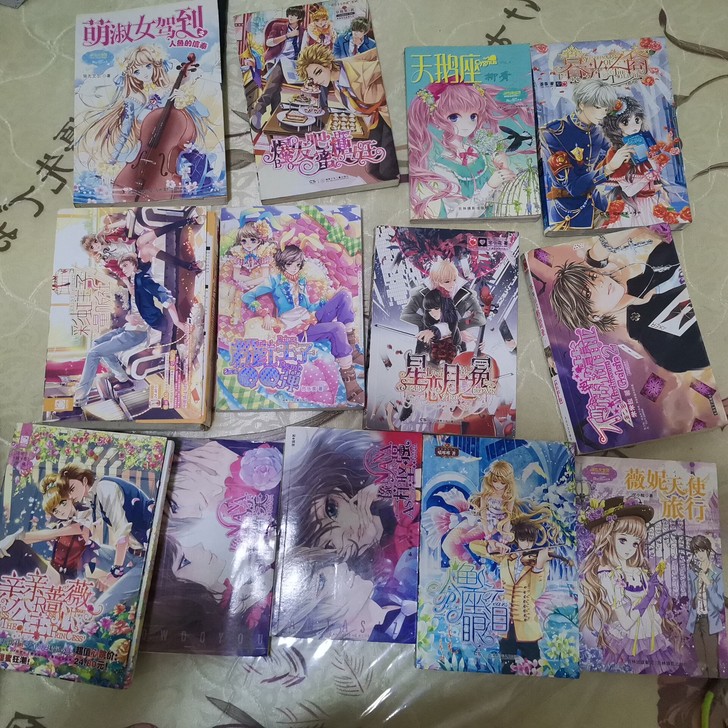 青春少女读物 校园读物