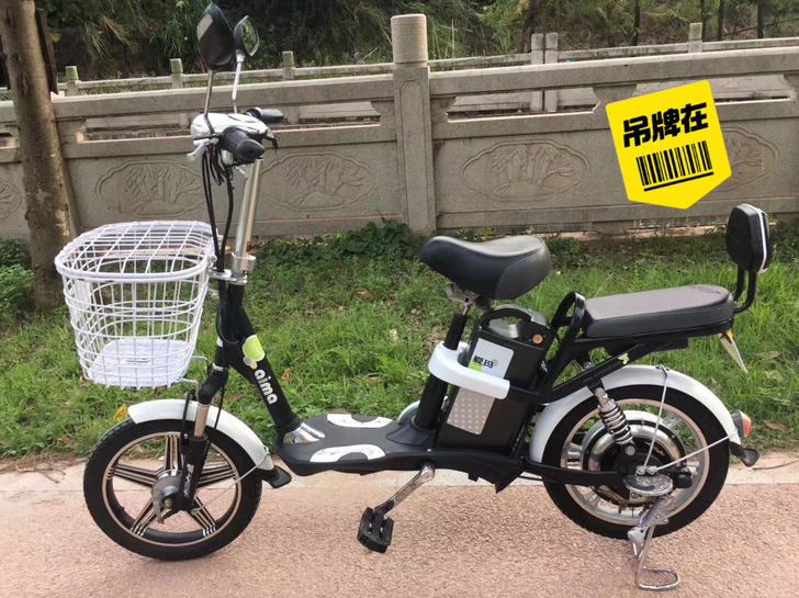 48Ⅴ爱玛电动车