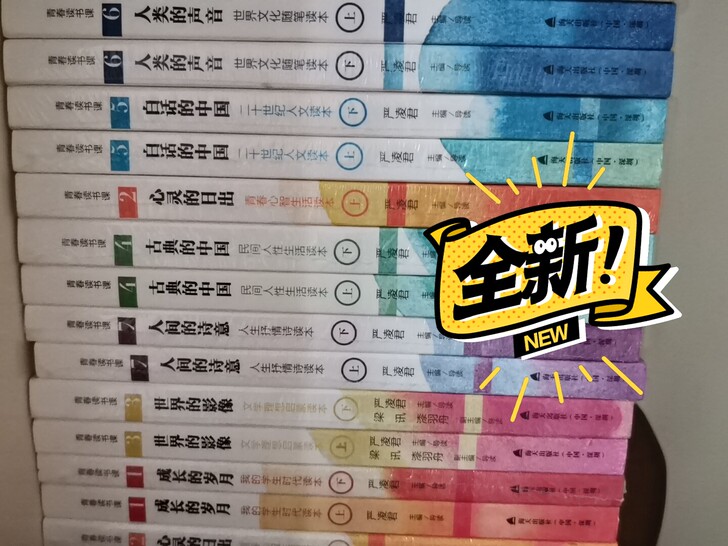 现货包邮 青春读书课 严凌君 全套珍藏版共...