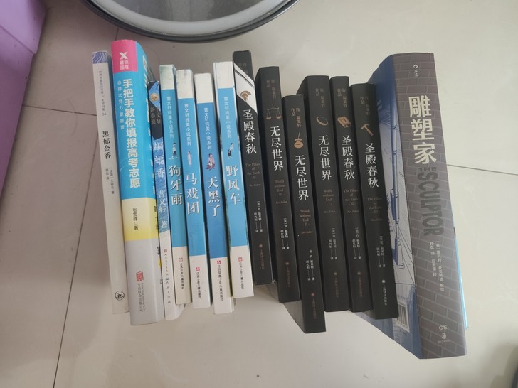 出书，大仲马的黑郁金香，曹文轩部分作品，雕...