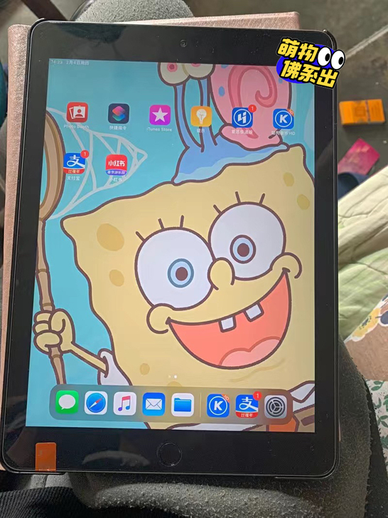 自用ipad2018款 插卡4G 128G...