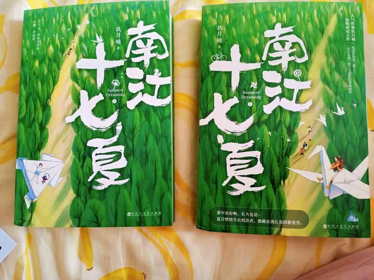 南江十七夏(全两册)玖月晞著 青春校园文学...