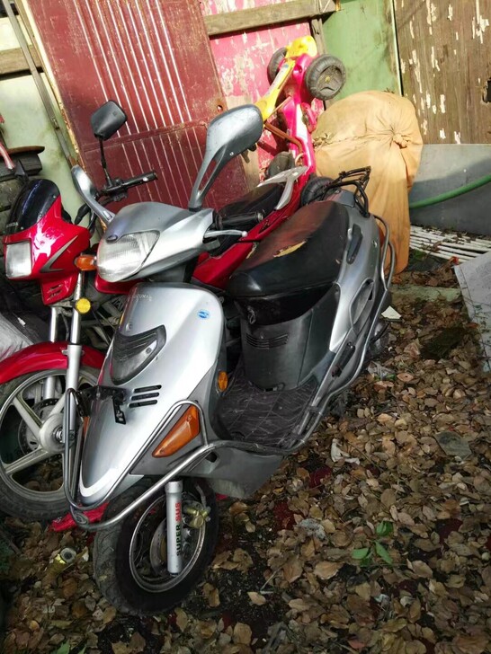 铃木海王星  极品成色