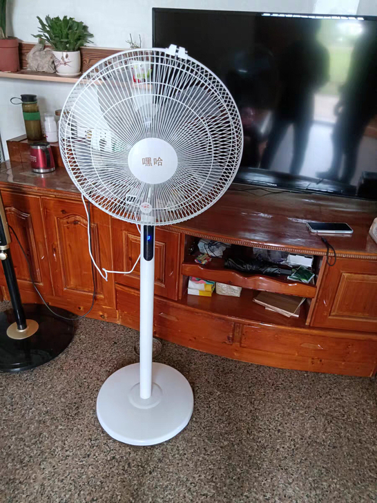 全新电风扇静音遥控落地扇家用电扇