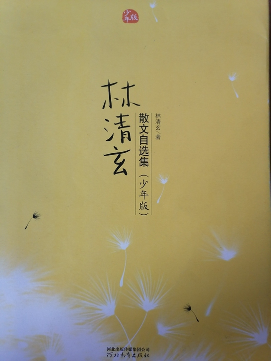 林清玄散文自选集（少年版）