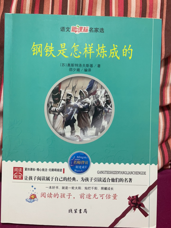 二手 正版钢铁是怎样炼成的 不退换