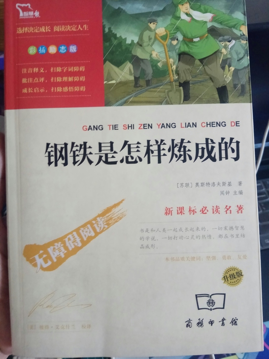 钢铁是怎样炼成的,孩子最佳读物,实体店买的...