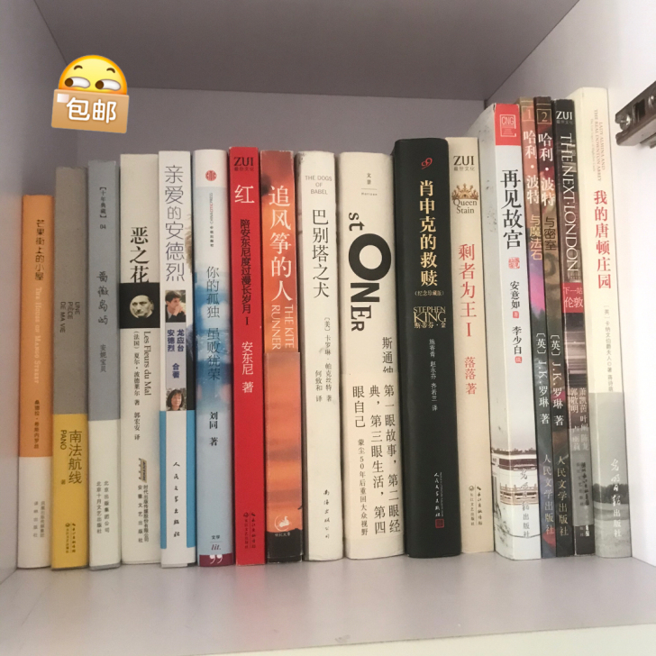 【99新正版小说随笔诗集摄影集 书店购入】