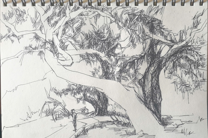 代画钢笔速写 按质量可小刀