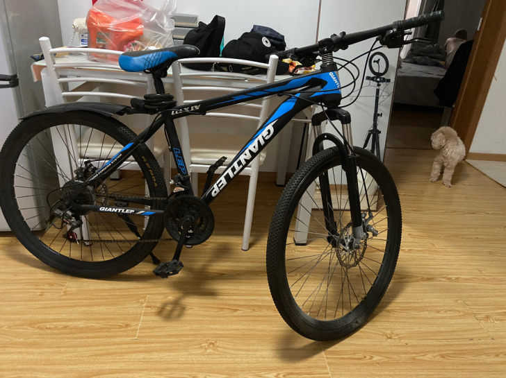 自行车，在家放着太占地方了，没有大毛病，但...