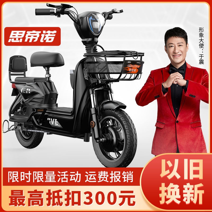 思帝诺新国标48V新款电动车电动自行车小型...