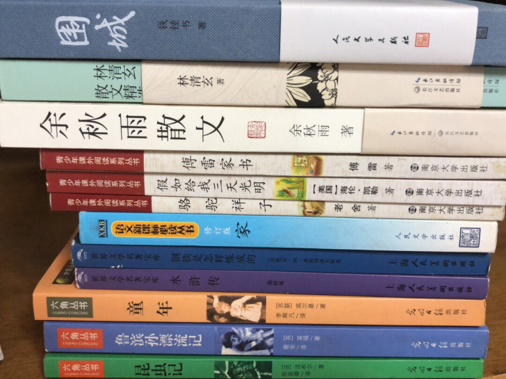 适合中小学生的名著  全新