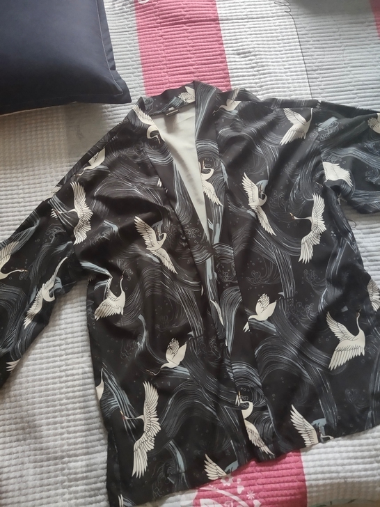 出两件道袍，18一件