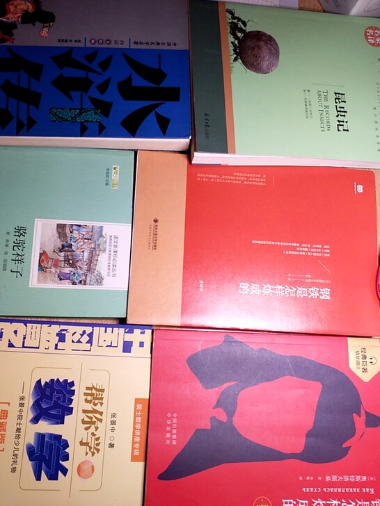 昆虫记 钢铁是怎样炼成的 帮你学数学 骆驼...