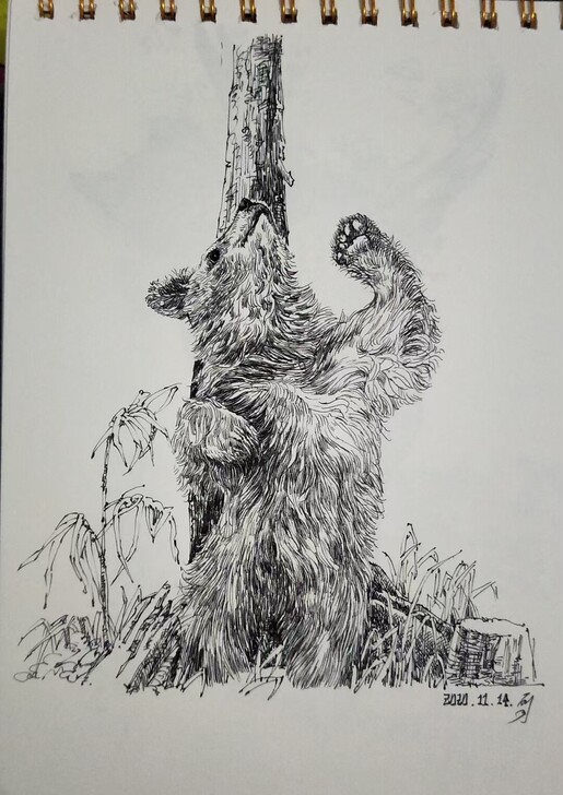 个人钢笔速写作品,欢迎喜欢的人结缘。支持定制