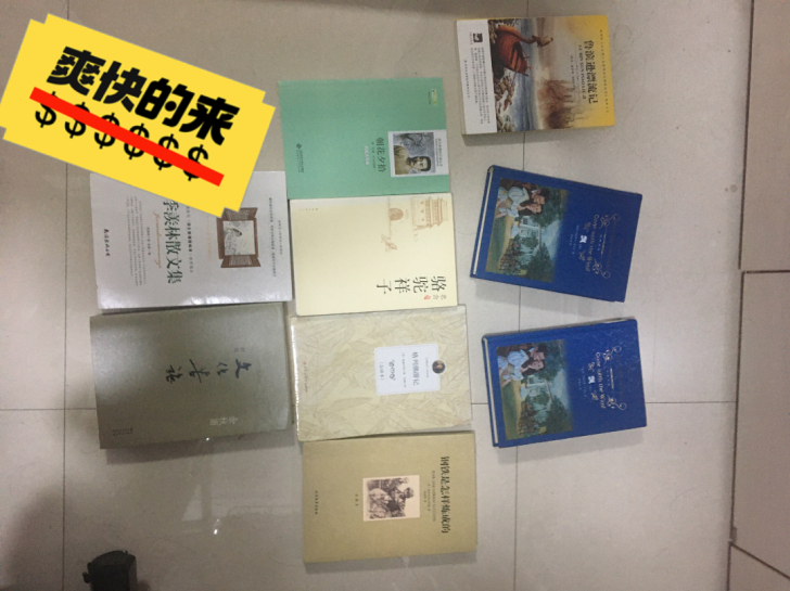 鲁滨逊漂流记，飘，朝花夕拾，骆驼祥子（轻微...