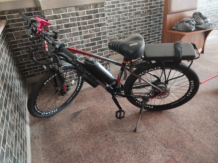 永久电动车,9新,自提