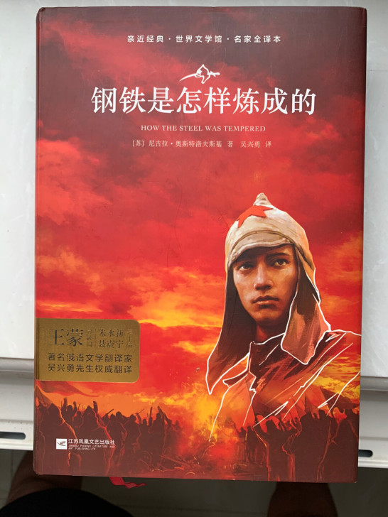 钢铁是怎样炼成的