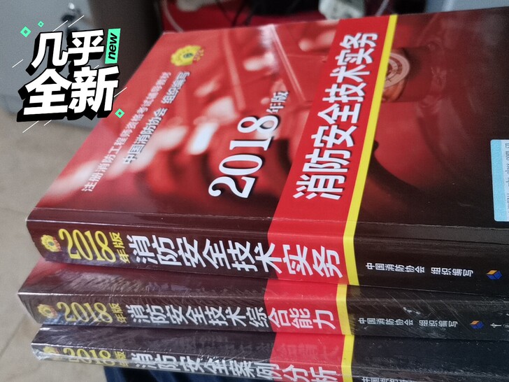 淘宝正版，2018年，一套三本，技术实务，...