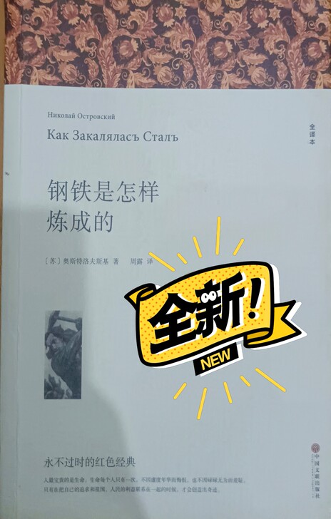 正版钢铁是怎样炼成的正版原著书初中八年级下...