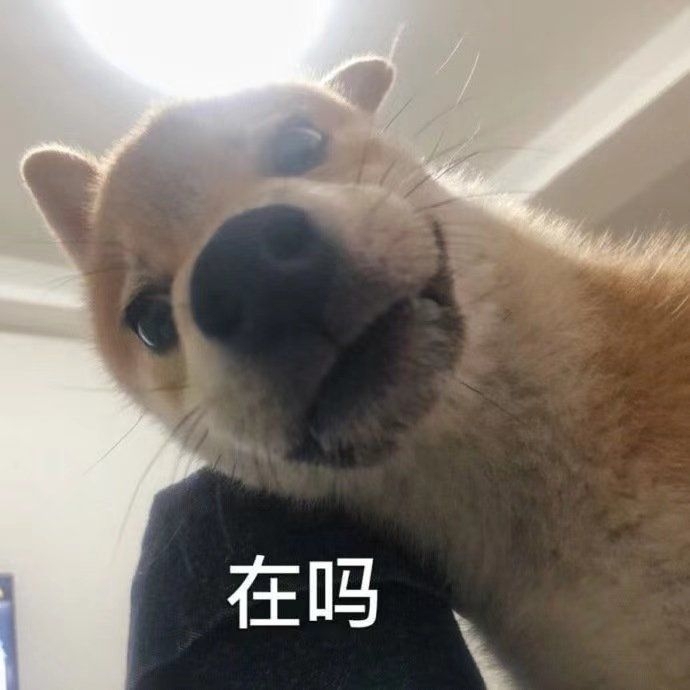 需求：收一个手机，功能正常无维修的手机；最...