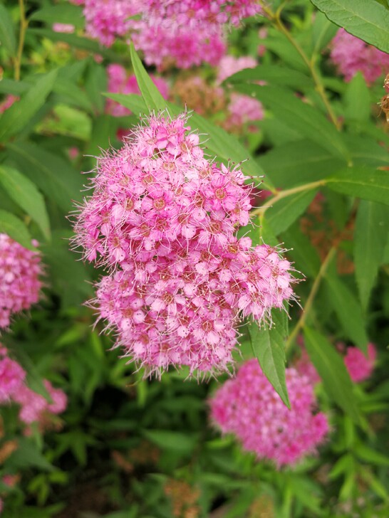 公务员、事业单位、银行、国企等优质单位笔试...