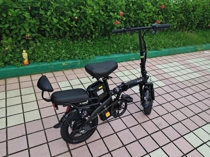 美国G-force 折叠电动自行车锂电池