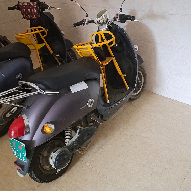 原装60v绿源电动车,19年底的电瓶,电瓶...