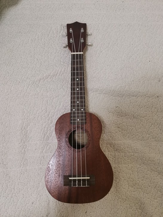 尤克里里新手入门