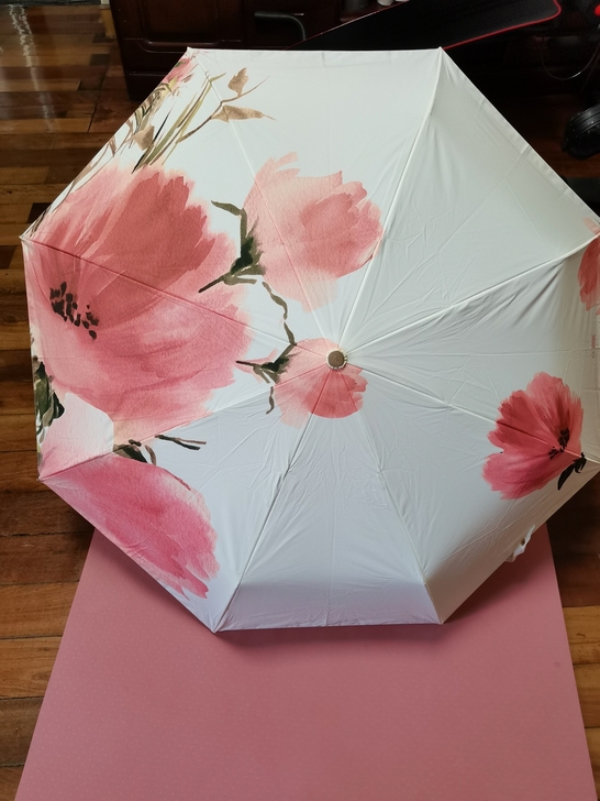 生日礼物朋友送的missrain 雨伞，用...