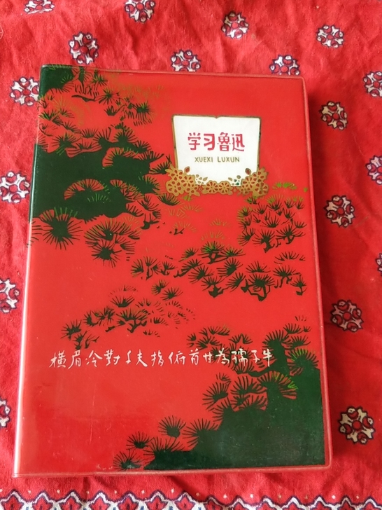 一个老日记本。封面为鲁迅诗句。里面插图精美...
