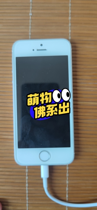 苹果SE 64g 全网通 绕ID，指纹前后...