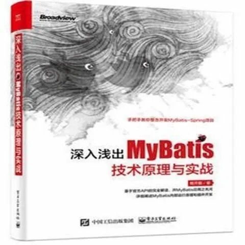 深入浅出MyBatis技术原理与实践 My...