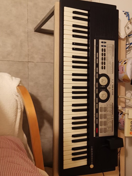 挺好的电子琴。功能完好。