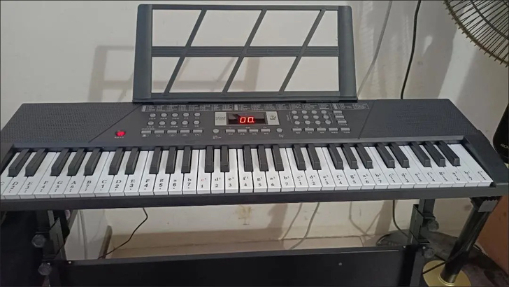 出原价980的全新61键电子琴,基础款如图...