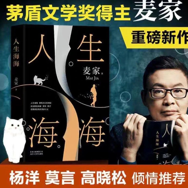 【精装】人生海海 茅盾文学奖得主麦家全新力...