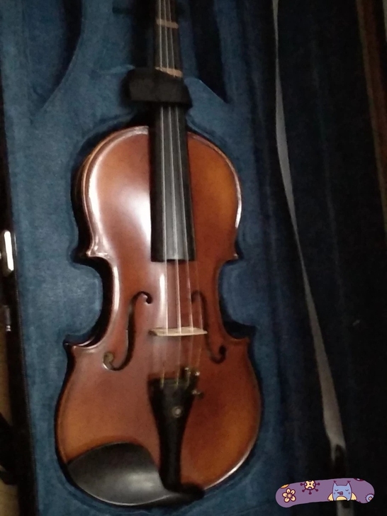 克里斯蒂娜小提琴，1/2，琴弦刚换的，低价转