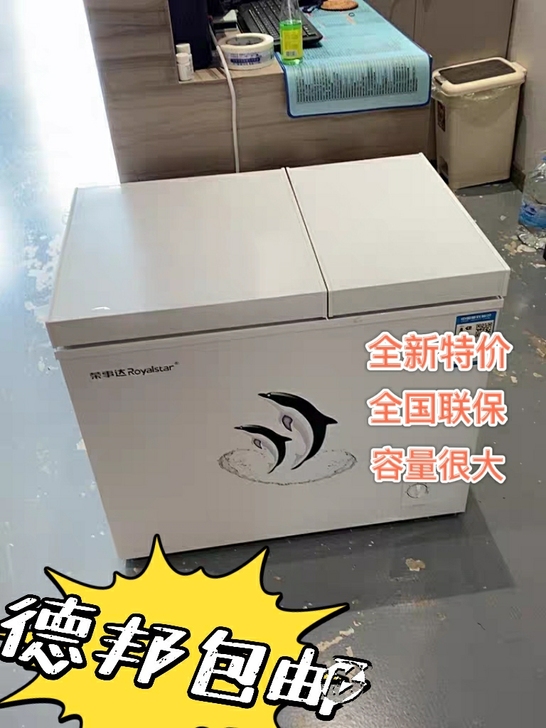 【送货上门】雪糕雪柜家用商用冷冻小型冷柜荣...