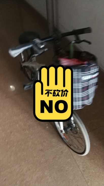 当年买路虎赠的小自行车，变速，没怎么骑过，...