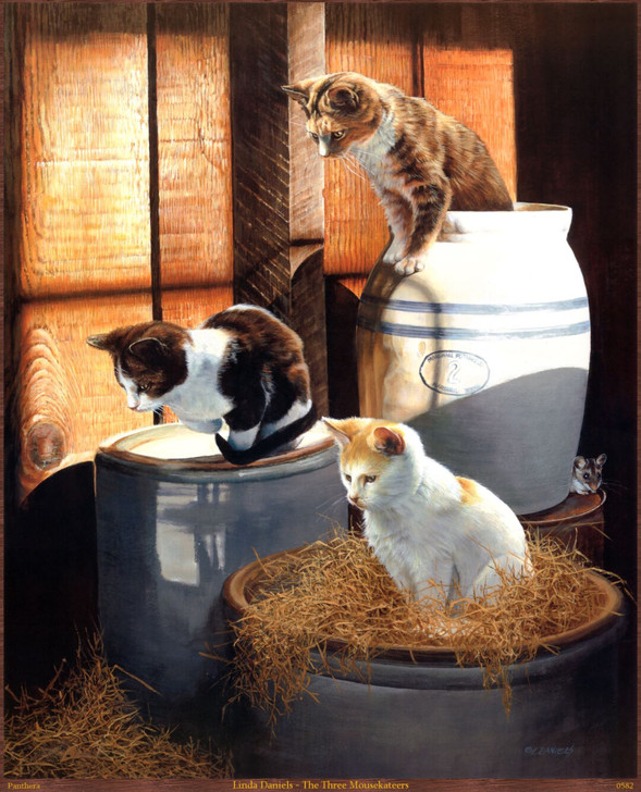 小猫咪系列作品  微喷油画 材质：防水油画...