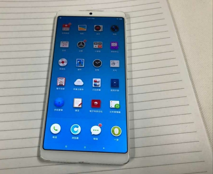 白色经典坚果pro2 6+128g 双卡双...